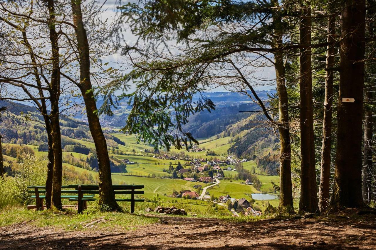 Elzland Pfauen Wellness & Отель Эльцах